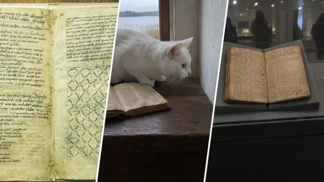 Pangur Bán: el poema que un monje sin nombre escribió a su gato hace 1.200 años, y que aún existe