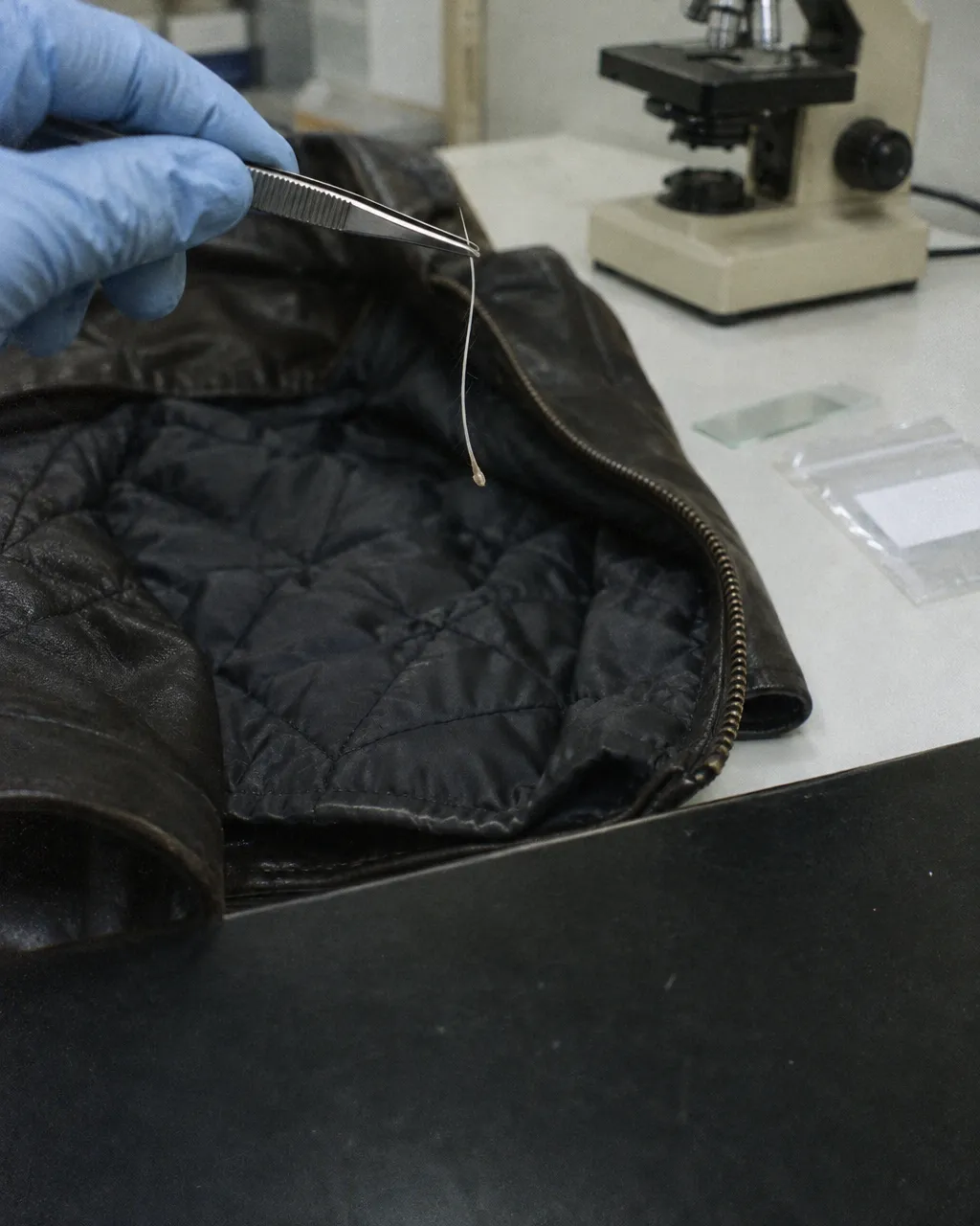 Snowball, el gato cuyo pelo llevó por primera vez el ADN animal a un juicio por asesinato 3 Mano enguantada que sostiene con pinzas un pelo blanco de gato, con su raíz visible, sobre el forro acolchado de una chaqueta de cuero abierta en una mesa de laboratorio forense de los años noventa